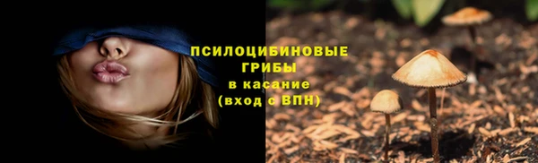 кокс Белокуриха
