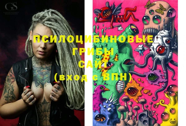 кокс Белокуриха