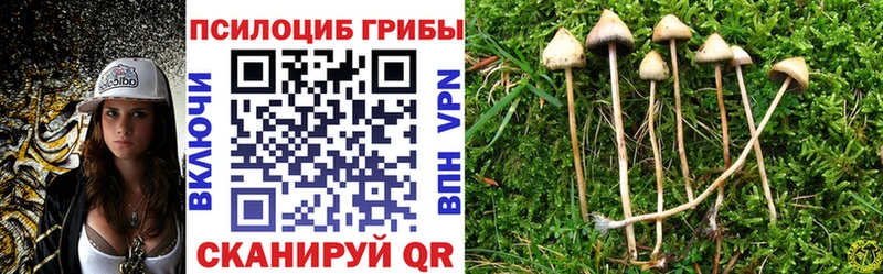 блэк спрут ONION  Улан-Удэ  Псилоцибиновые грибы прущие грибы  что такое наркотик 